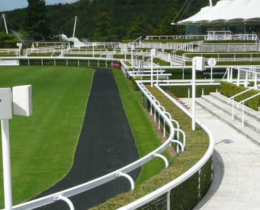 Goodwood Racecourse